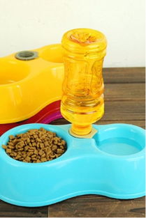 當陽光射進陰霾 蘑菇街優(yōu)店的寵物溫情日用品